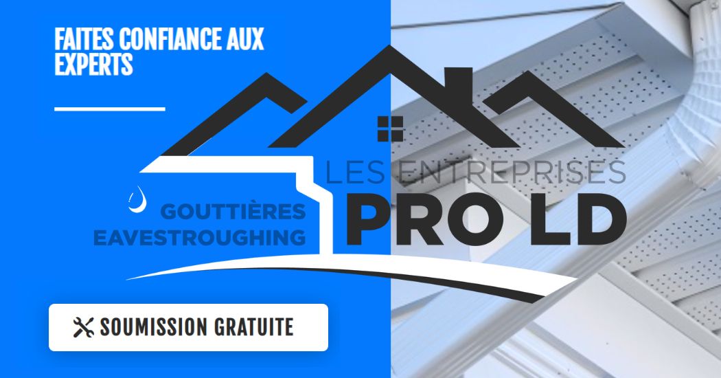 Entrepreneur en gouttières Gatineau
